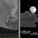 Tonight: Patchy smoke between 11pm and midnight. Partly cloudy, with a low around 59. South wind 5 to 10 mph becoming northeast after midnight. 